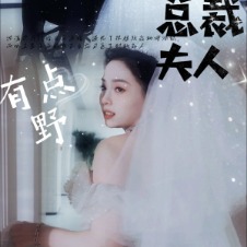 总裁夫人有点野封面
