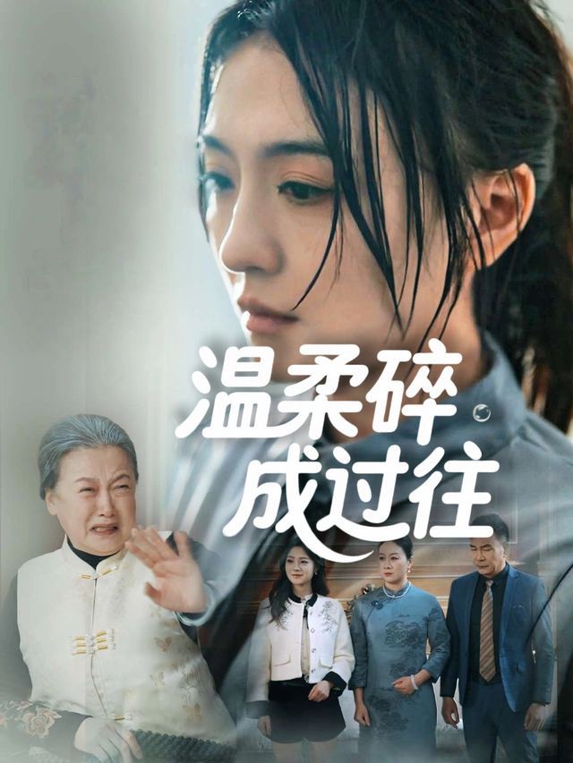 温柔碎成过往封面