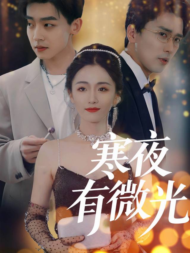 寒夜有微光封面