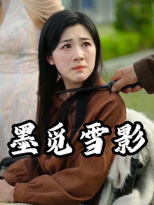 墨觅雪影封面