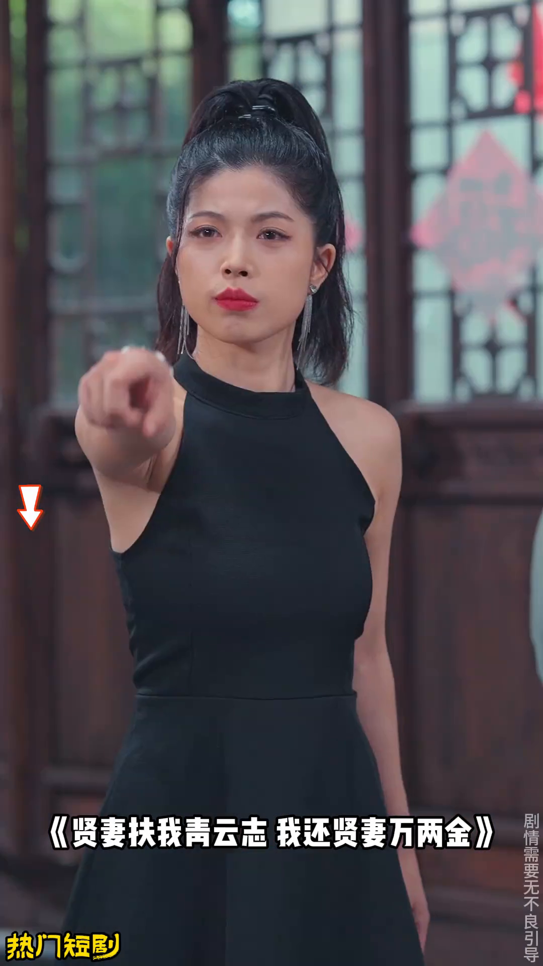 贤妻扶我青云志我还贤妻万两金封面