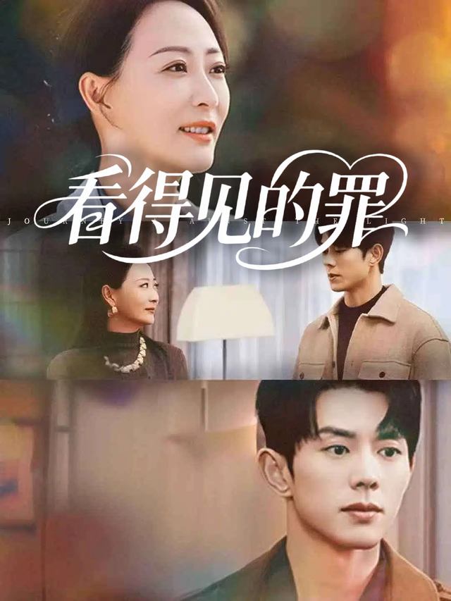 看得见的罪封面