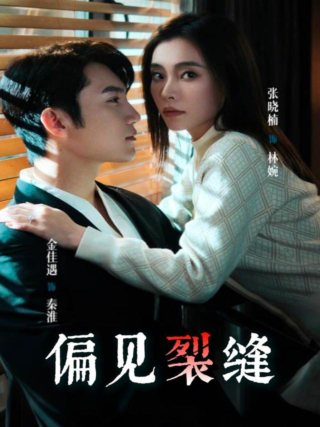 偏见裂缝封面