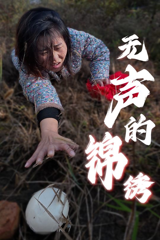 无声的锦绣封面