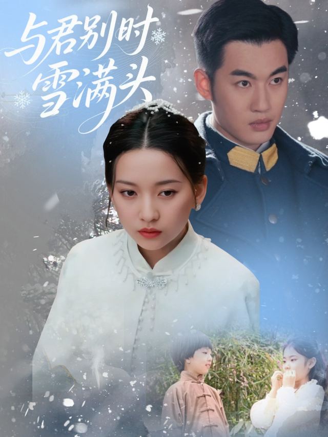 与君别时雪满头封面