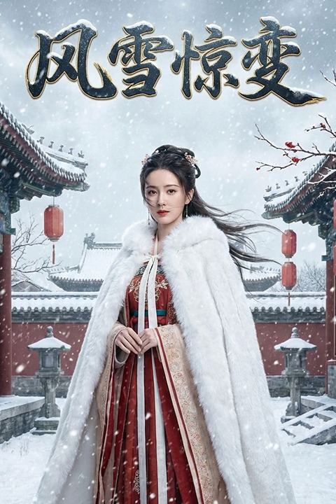 风雪惊变封面