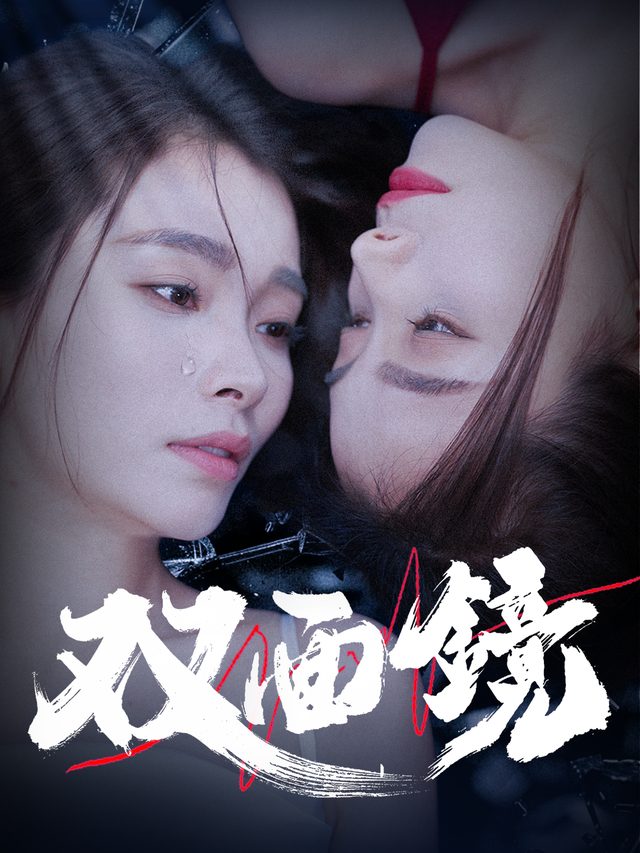 双面镜封面