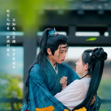 恋恋红尘再回首封面