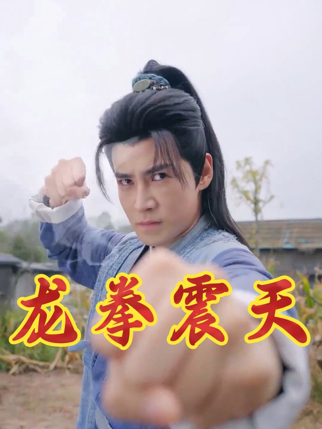 龙拳震天封面