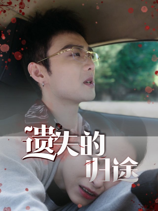 遗失的归途封面