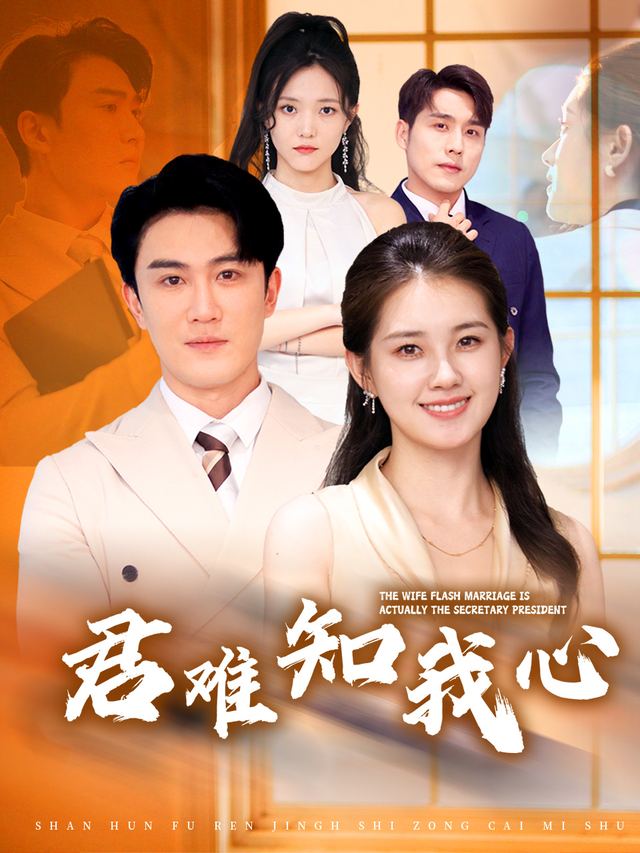 君难知我心封面