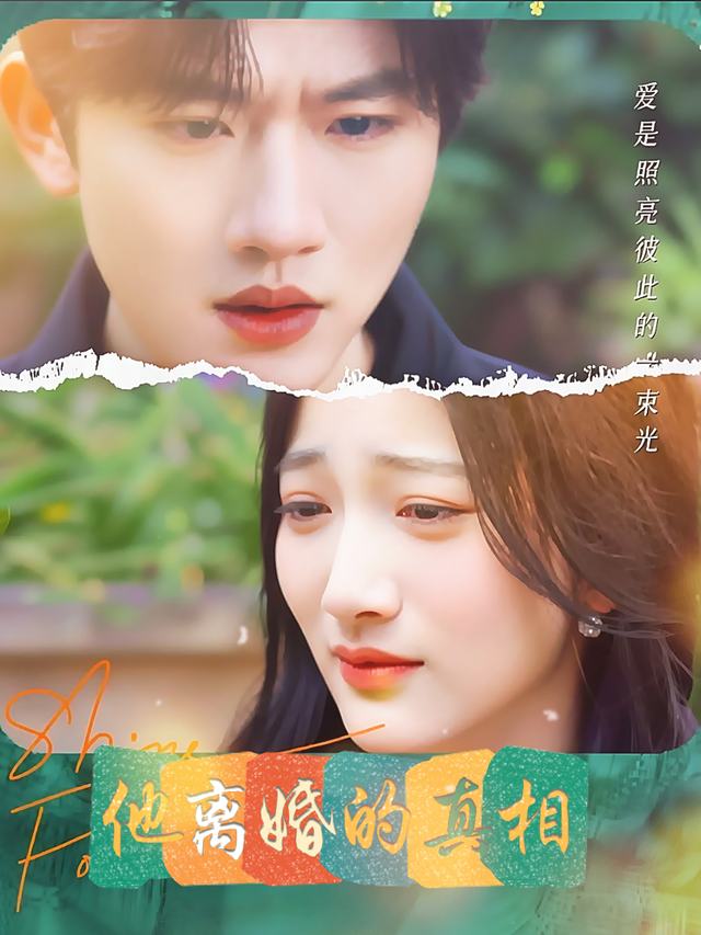 他离婚的真相封面