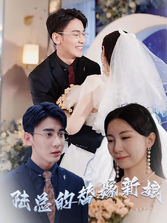 陆总的替嫁新娘封面
