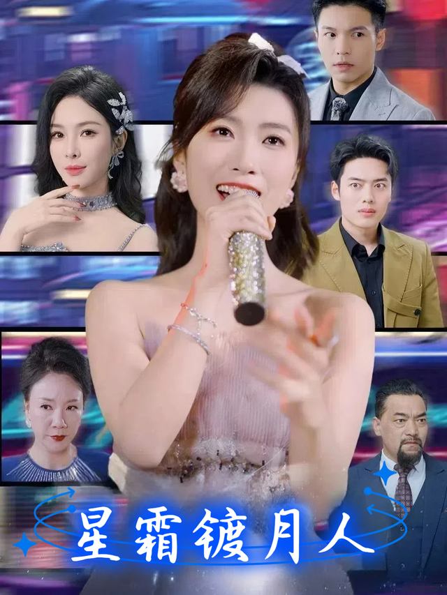 星霜镀月人封面