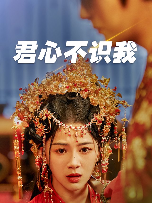 君心不识我封面
