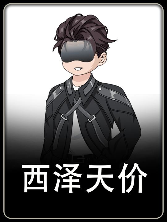 西泽天价封面