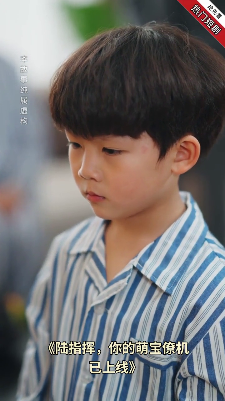 陆指挥,你的萌宝僚机已上线封面