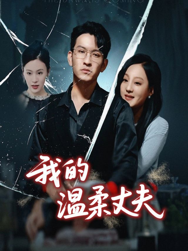 我的温柔丈夫封面