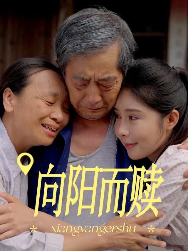向阳而赎封面