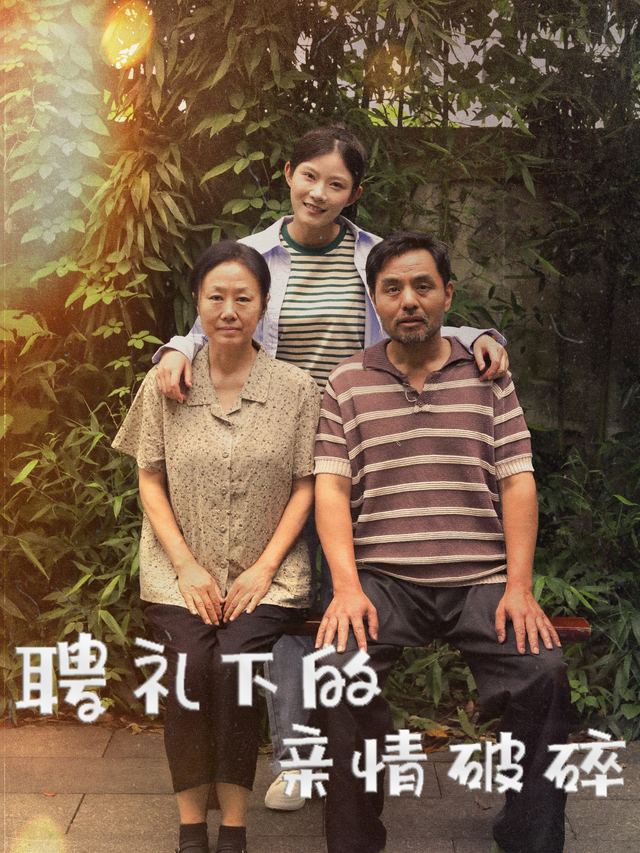 聘礼下的亲情破碎封面