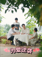 为爱逆袭封面