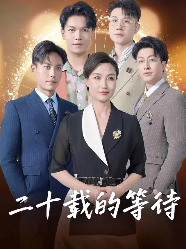 二十载的等待封面