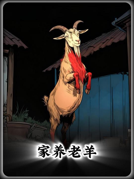 家养老羊封面