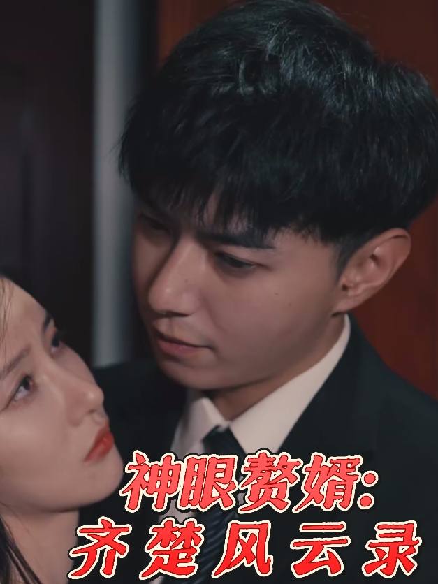 神眼赘婿：齐楚风云录封面