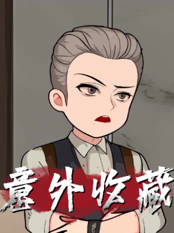 意外收藏封面
