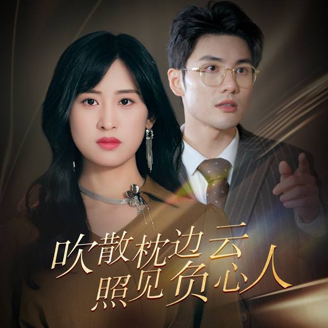 吹散枕边云照见负心人封面