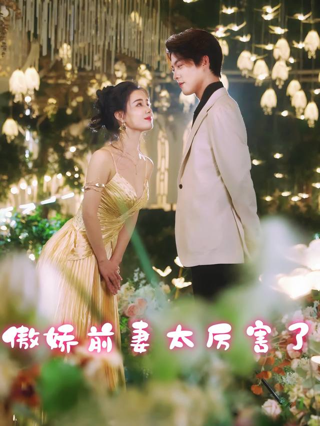 傲娇前妻太厉害了封面