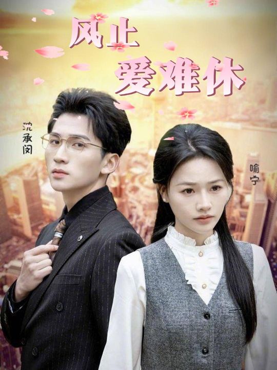 风止爱难休封面