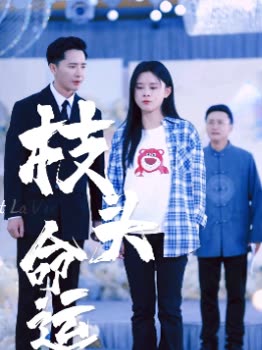 枝头命运封面