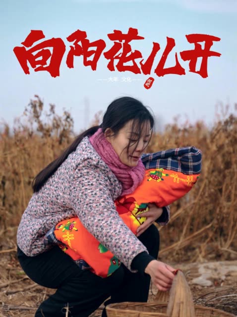 向阳花儿开封面