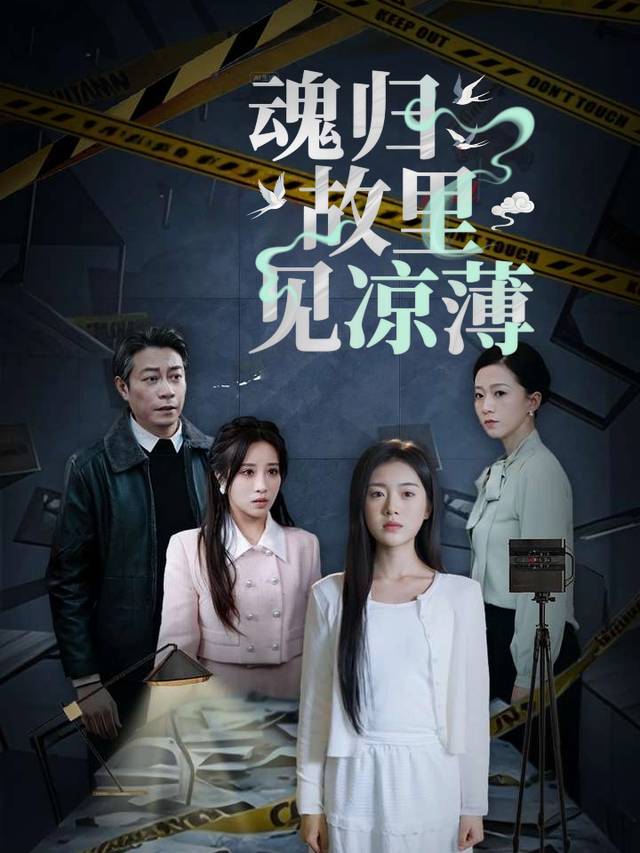 魂归故里见凉薄封面
