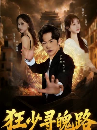 狂少寻魄路封面