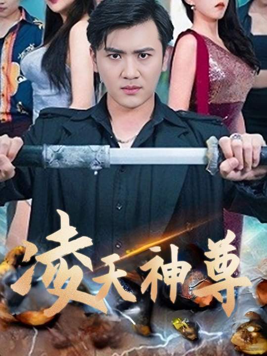凌天神尊封面