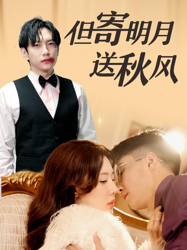 但寄明月送秋风封面
