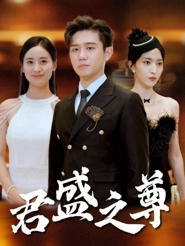 君盛之尊封面
