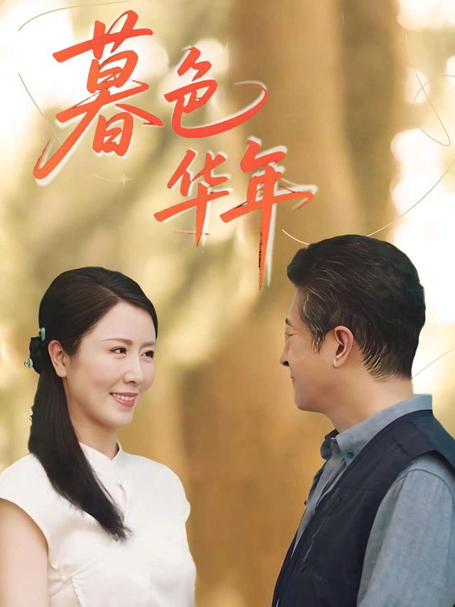 暮色华年封面