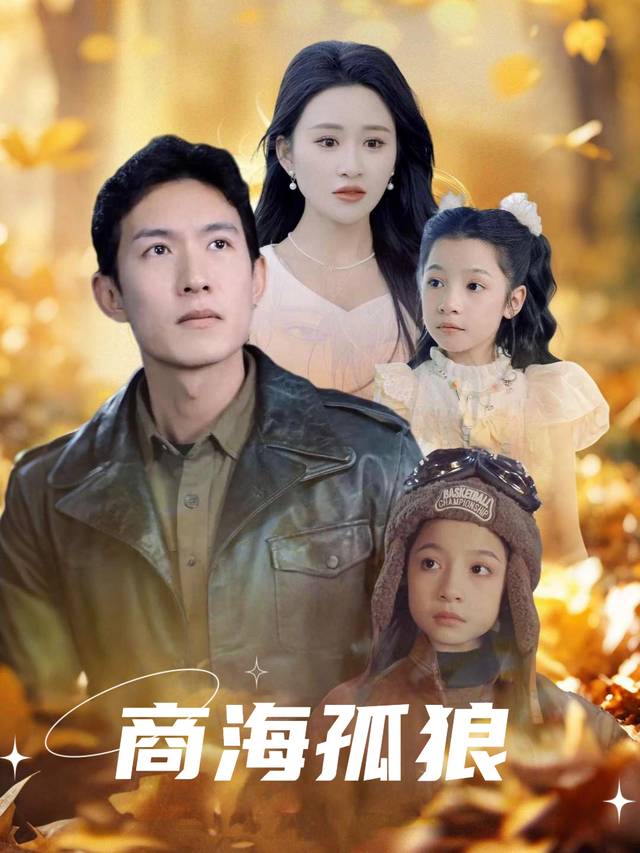 商海孤狼封面