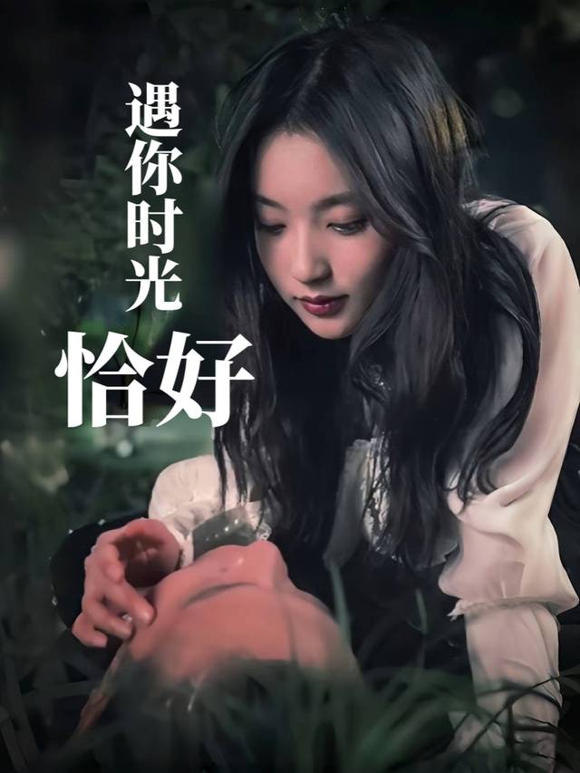 遇你时光恰好封面