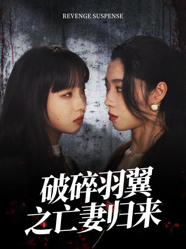 破碎羽翼之亡妻归来封面