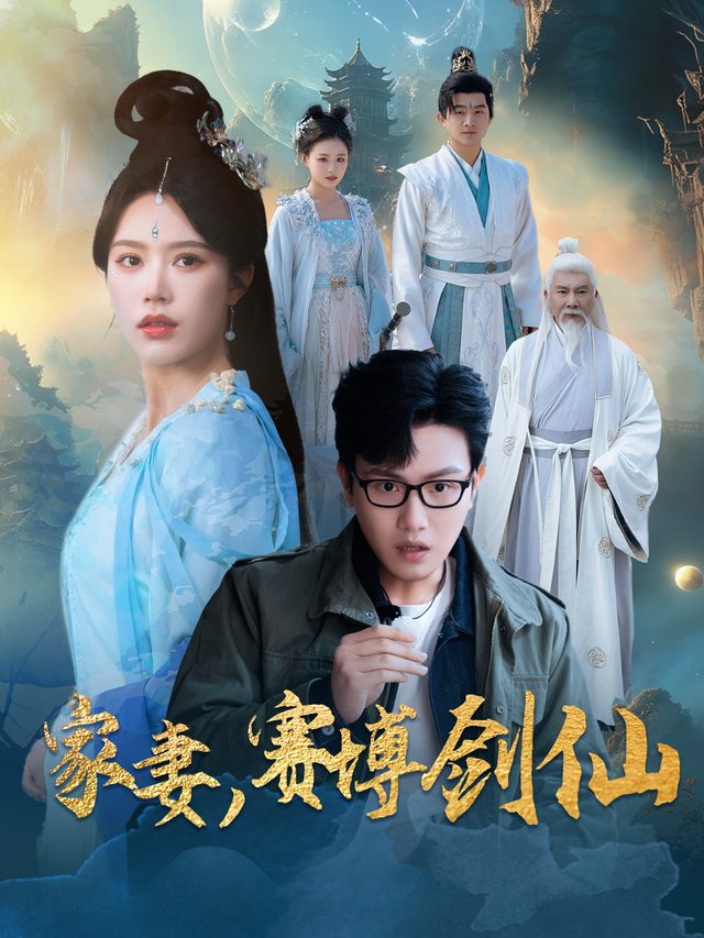 家妻,赛博剑仙封面