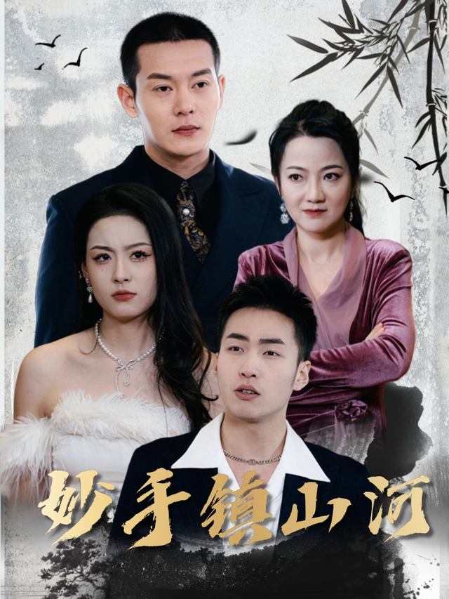 妙手镇山河封面