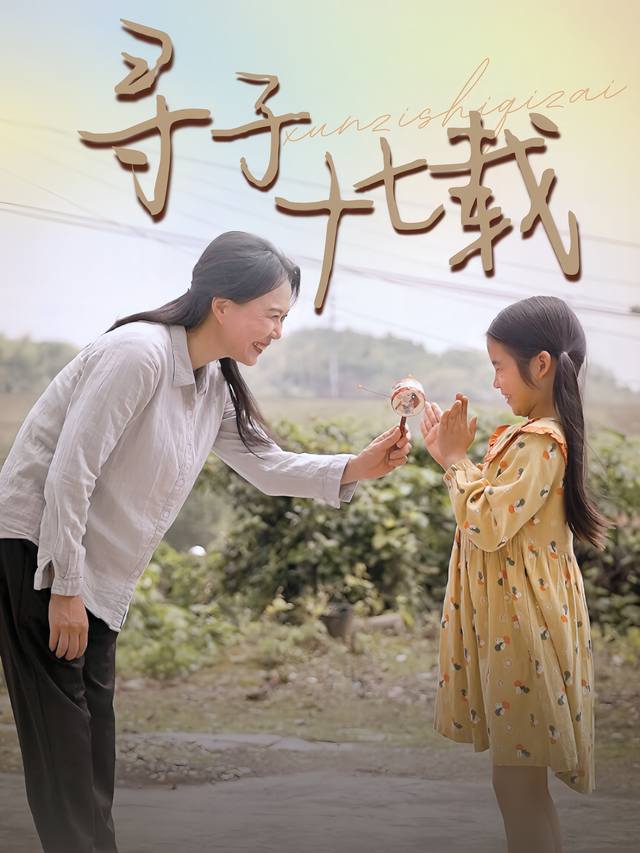 寻子十七载封面