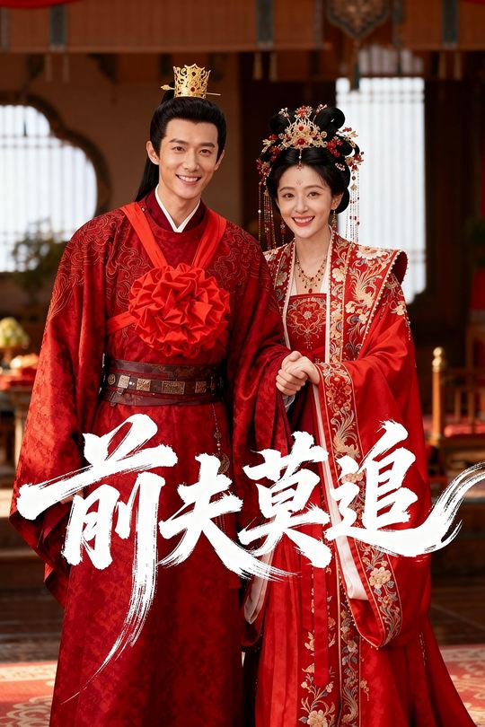 前夫莫追封面