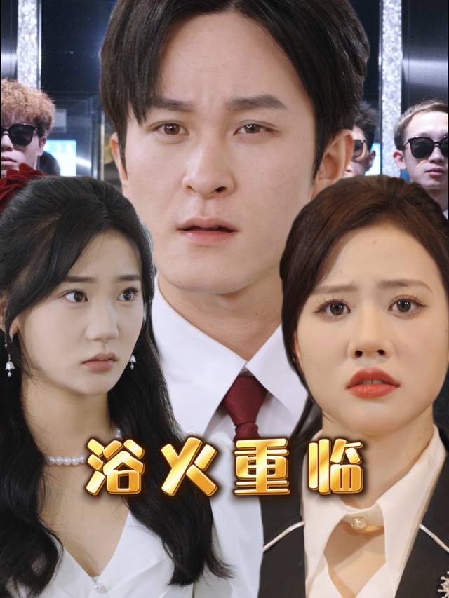 浴火重临封面