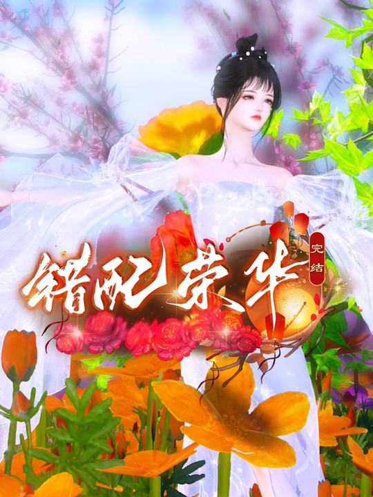 错配荣华封面