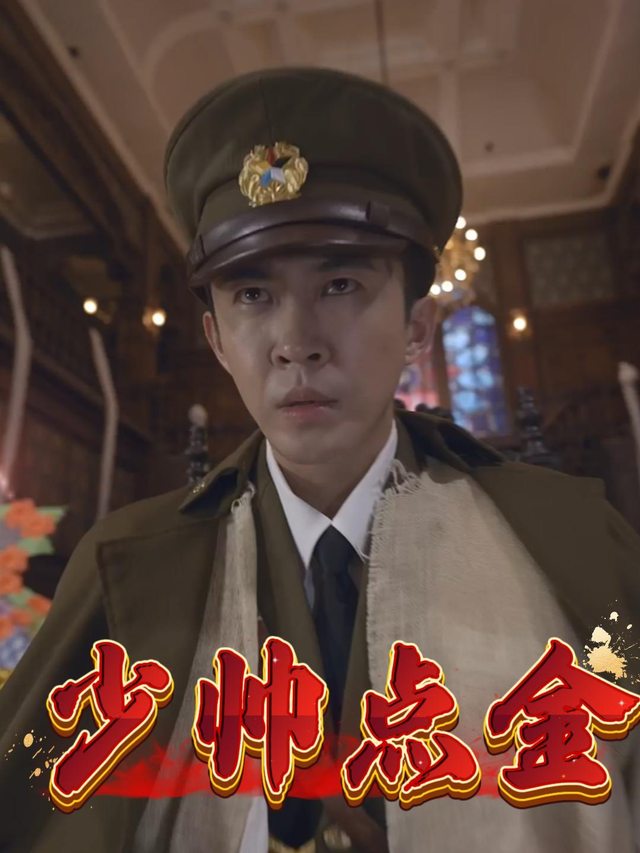 少帅点金封面